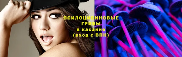 альфа пвп Куйбышев