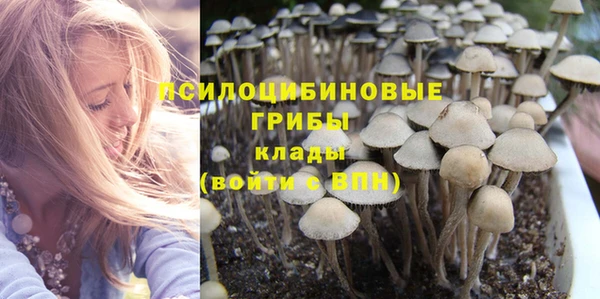 альфа пвп Куйбышев