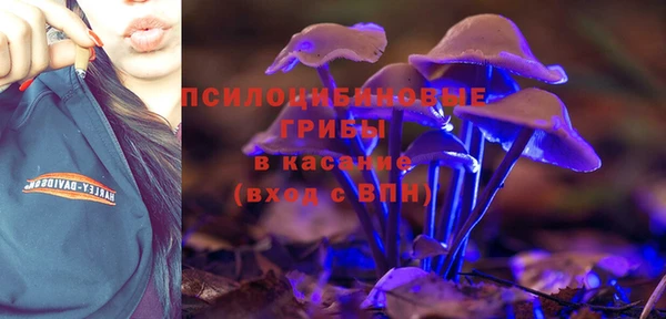 трава Кукмор